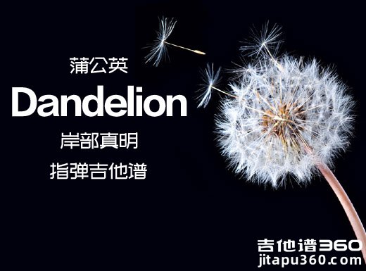 岸部真明《Dandelion》蒲公英指弹谱 Dandelion吉他独奏谱 