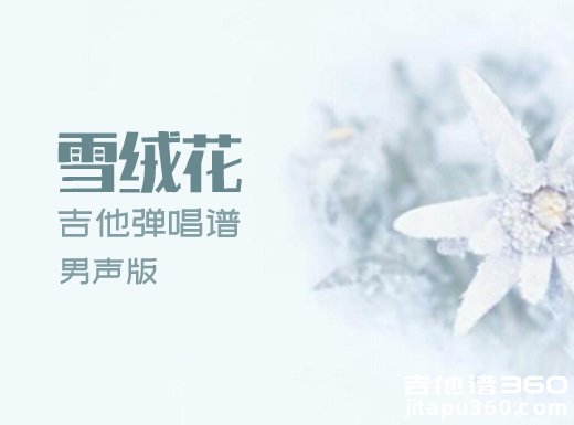 雪绒花吉他谱  《雪绒花》音乐之声吉他弹唱谱
